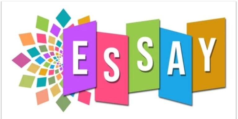 essay